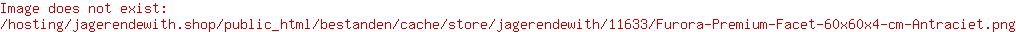 Jager & de With Bestrating