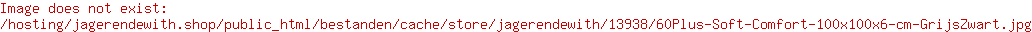 Jager & de With Bestrating